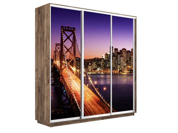 Шкаф-купе Экспресс Люкс 3-х дверный (Фото №1007 Ночной мост)