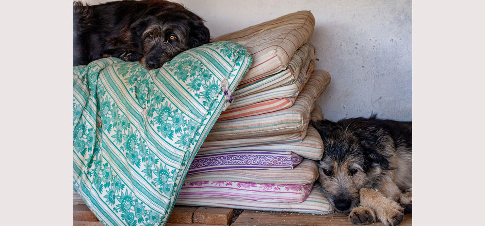 Куда деть старый матрас!?